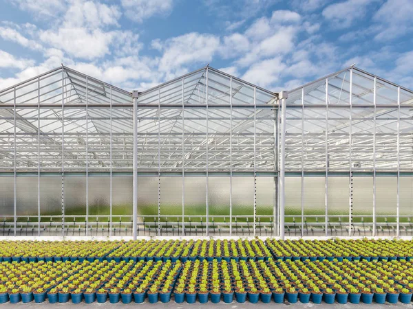 Front view of a new greenhouse — Stock Photo, Image