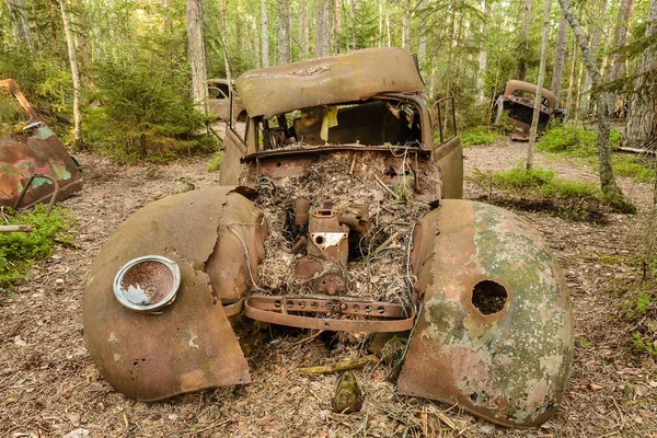 숲에서 오래된 녹슨 풍화 스크랩 자동차 — 스톡 사진