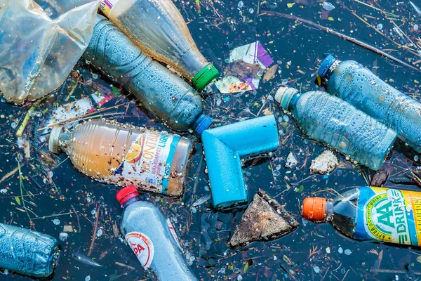 Amsterdam, Hollanda'da bir kanalda yüzen plastik atıklar