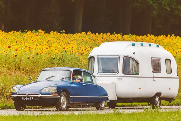 Citroën DS vintage devant un champ de tournesols en fleurs — Photo