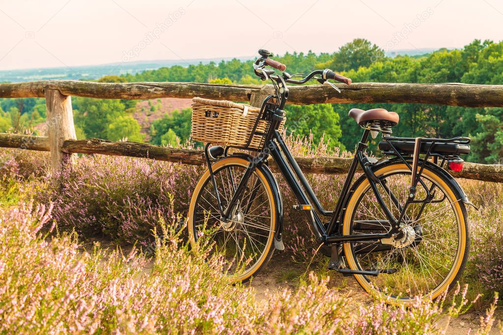 Electric black cargo bicycle with basket in Dutch national park 
