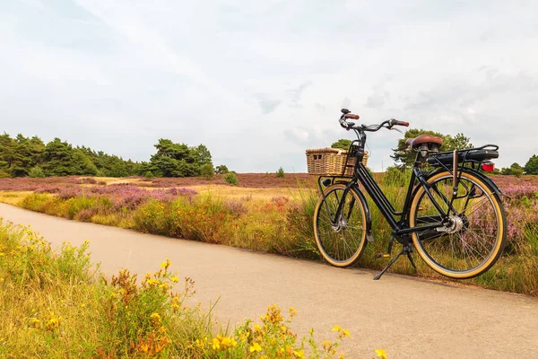 Elektryczny czarny rower towarowy z koszykiem w holenderskim parku narodowym — Zdjęcie stockowe