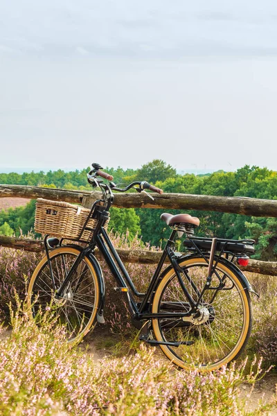 オランダ国立公園のバスケット付き電動自転車 ザ・ヴェルー — ストック写真