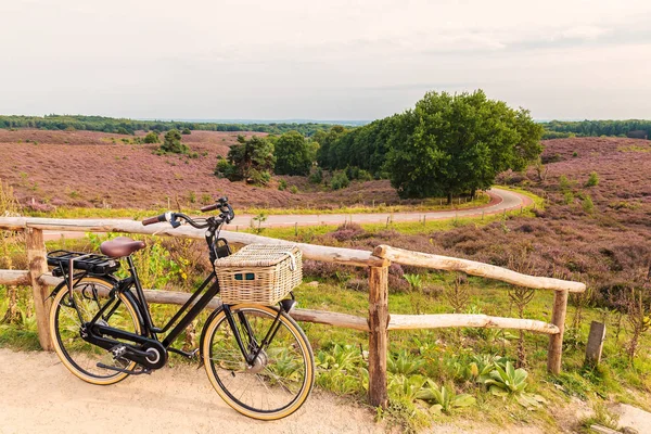 Hollanda milli parkı Veluwe sepetli elektrikli bisiklet