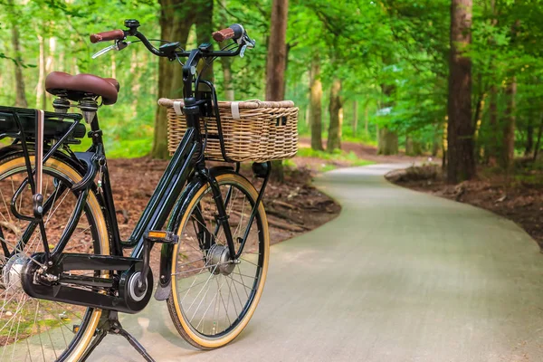 オランダ国立公園のバスケット付き電動黒貨物自転車 — ストック写真