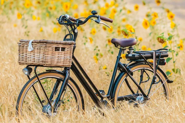 Bicicleta de carga negra eléctrica holandesa con cesta —  Fotos de Stock