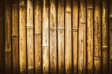 Eski ahşap bambu dalları desen