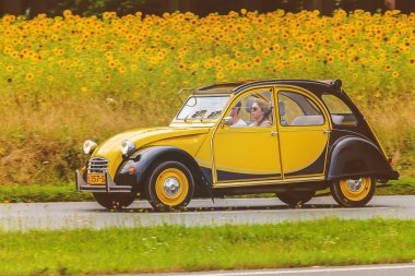 Vintage Citroen 2cv çiçek açan ayçiçekleri ile bir alanın önünde