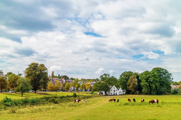 Der holländische stadtpark sonsbeek in arnhem — Stockfoto