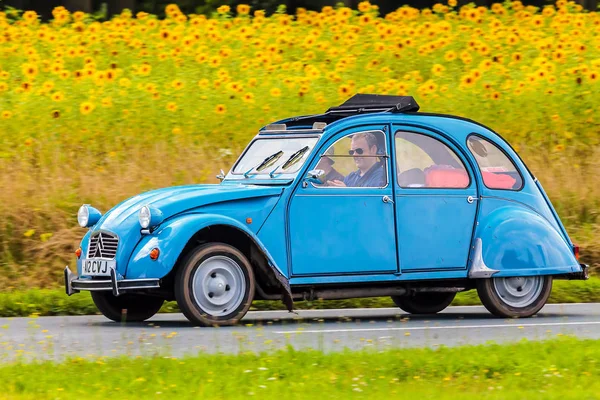 Vintage Citroen 2cv çiçek açan ayçiçekleri ile bir alanın önünde