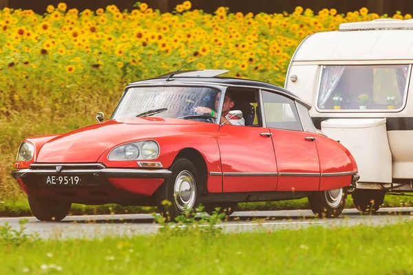 Citroën DS vintage devant un champ de tournesols en fleurs — Photo