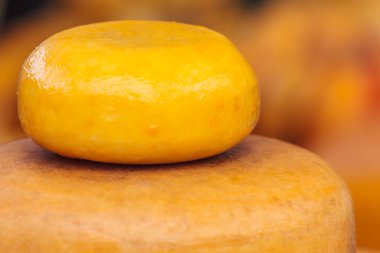 Markette Hollanda peyniri