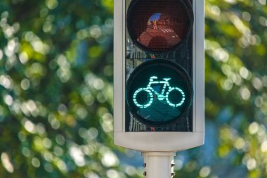 Hollanda'da bisiklet trafik ışığı