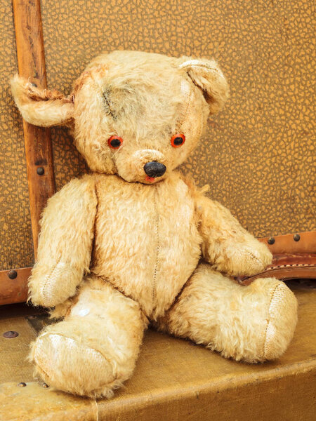 Vintage teddy bear with old suitcases