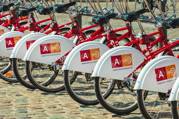 Fila de bicicletas de alquiler de transporte público en Amberes, Bélgica —  Fotos de Stock
