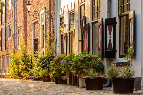 Maisons médiévales dans le centre historique de la ville néerlandaise d'Amer — Photo