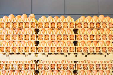 Gri duvarın önünde taze yumurtalarla dolu sandıklar.