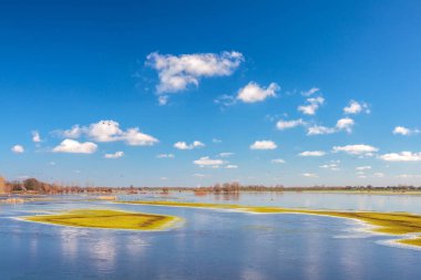 Hollanda nehri Ijssel 'in önündeki sel baskını alanı