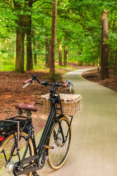 オランダ国立公園のバスケット付き電気黒貨物自転車 Veluwe Orlanda — ストック写真