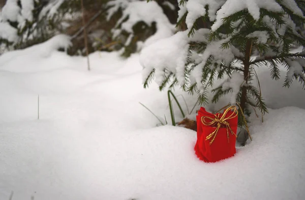 雪の中のギフトを持つバッグします — ストック写真