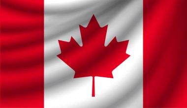 Gerçekçi bayrak, vektör çizim