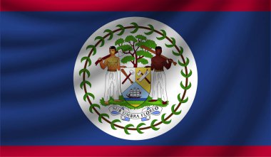 Gerçekçi bayrak, vektör çizim