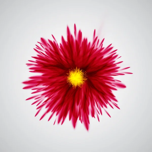五颜六色的爆炸花, 向量例证 — 图库矢量图片