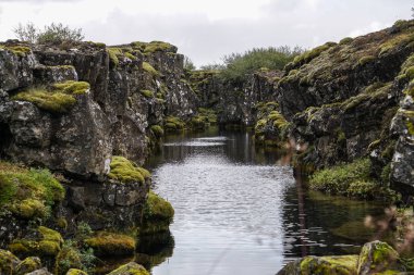 İzlanda, Haziran, yıl 2018'Thingvellir Tingvallavatn Milli Parkı