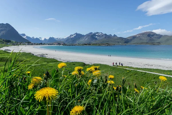 Flakstad Beach op de verheven tijdens de midzomer — Stockfoto