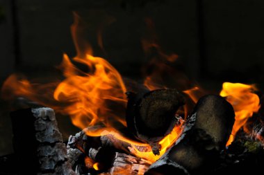 Alev ateş, sıcak günlükleri