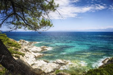 Turkuaz deniz altında yeşil ağaç, Yunanistan