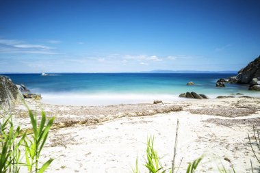 Yunanistan, Halkidiki, Sithonia içinde güzel vahşi kumsal