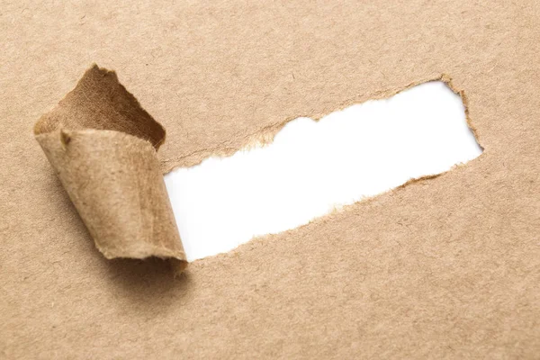 Blank white space in torn brown paper Royalty Free Stock Photos