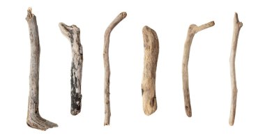 Sahilde toplanan eski kuru dalların toplanması, deniz suyuyla şekillendirilmiş, beyaz arka planda izole edilmiş - kırpma yolu da dahil -