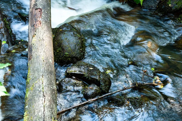 Small stream in forest with waterfall over small rocks — Stock Photo, Image