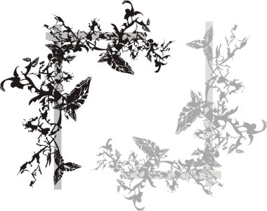 Dekoratif çiçek köşesi. Dallarda yapraklar - tasarımınız için beyaz arka plan üzerinde dekoratif bir çerçeve