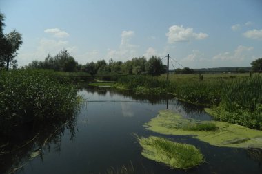 Şehir dışında nehrin