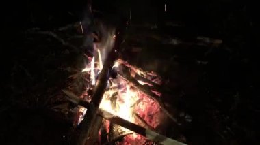 Şenlik ateşi gece. Orman. Yakacak odun. Yangın. Ateşten kıvılcım.