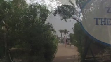 Deniz yolu. Kadar çalıştın? Yorgunsun? Sen tüm titreme etrafında? Şimdi denize yakın olduğunuzu düşünün! Ne duygular hissediyorsun? Cennet naslozhdenie! 