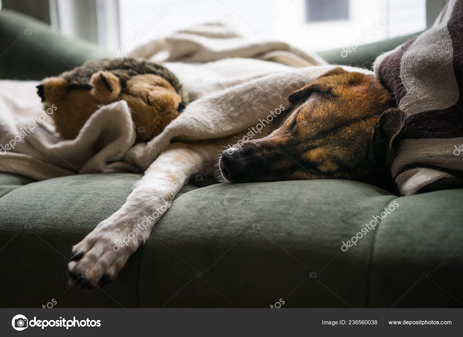 sleeping dog stuffed animal