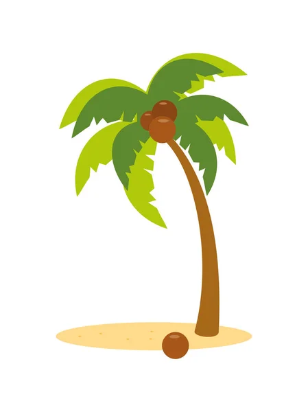 Vektor Kokospalmen Isoliert Auf Weißen Premium Vektor Gesetzt — Stockvektor