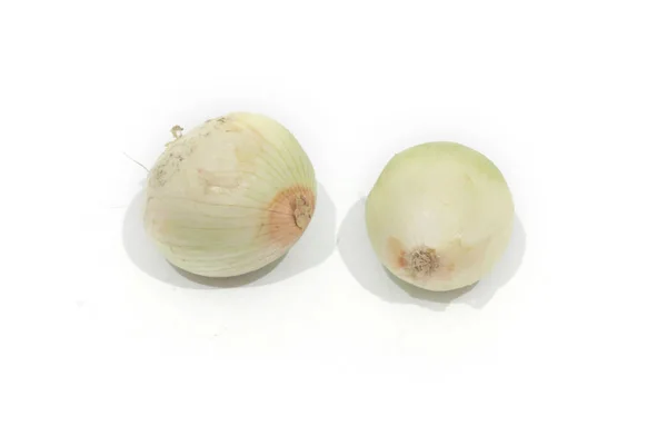 Two White Onions Isolated — Stock Photo, Image