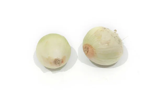 Two White Onions Isolated — Stock Photo, Image