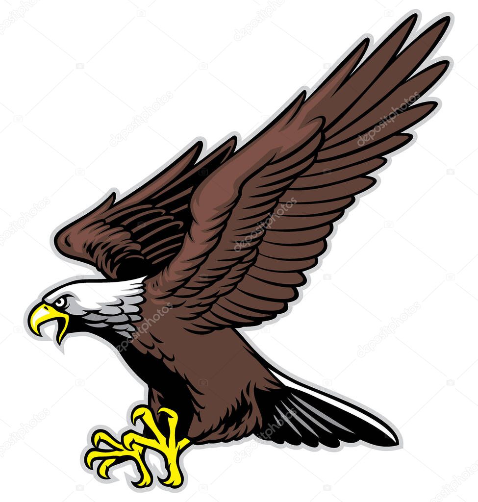 vector of flying eagle mascot