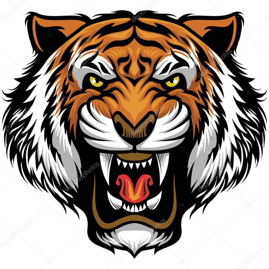 vector of angry tiger face