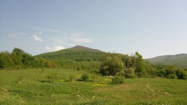 Çayır anf orman Doğu Slovakya