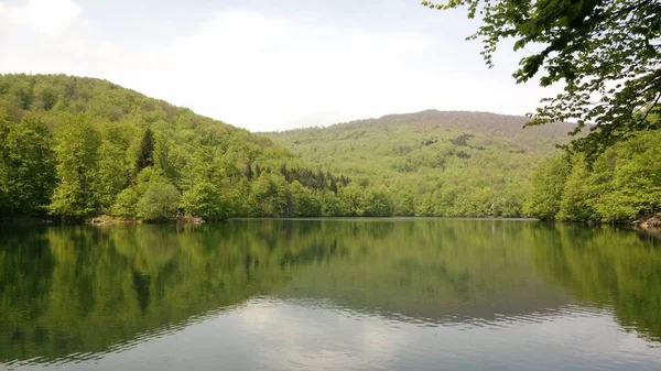 Doğu Slovakya Ormandaki Küçük Bir Göl — Stok fotoğraf