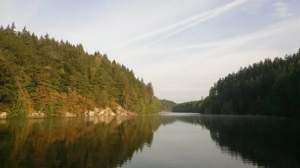 Δάσος Δίπλα Στον Ποταμό Στο Autumne Της Τσεχίας — Φωτογραφία Αρχείου