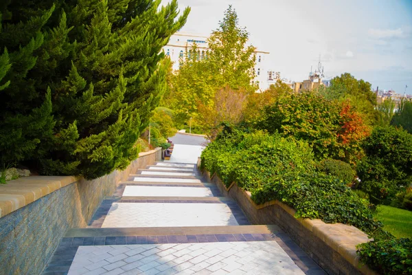 Baku Azerbajdzsán Baku Green Park Természetvédelmi Nagyon Szép Baku Azerbajdzsán — Stock Fotó