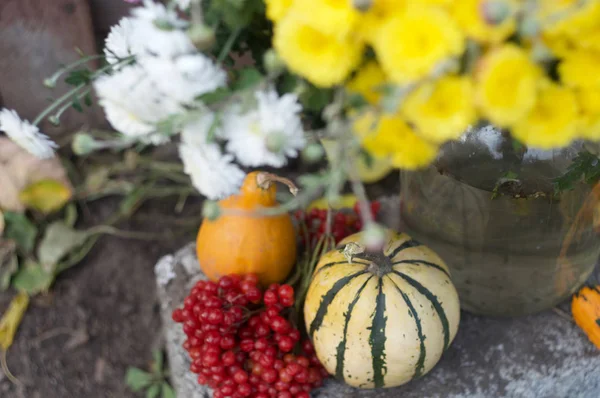 Citrouille Fleurs Couleurs Automne — Photo